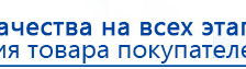 Электрод Скэнар - лицевой двойной Штампы купить в Асбесте, Электроды Скэнар купить в Асбесте, Нейродэнс ПКМ официальный сайт - denasdevice.ru